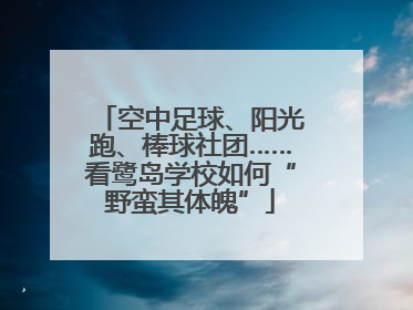 空中足球、阳光跑、棒球社团……看鹭岛学校如何“野蛮其体魄”