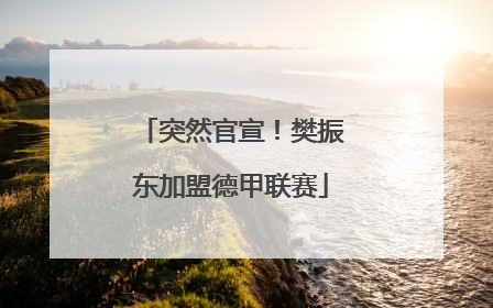 突然官宣！樊振东加盟德甲联赛