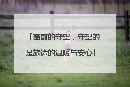 窗前的守望，守望的是旅途的温暖与安心