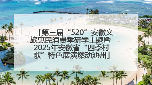 第三届“520”安徽文旅惠民消费季研学主题暨 2025年安徽省“四季村歌”特色展演燃动池州