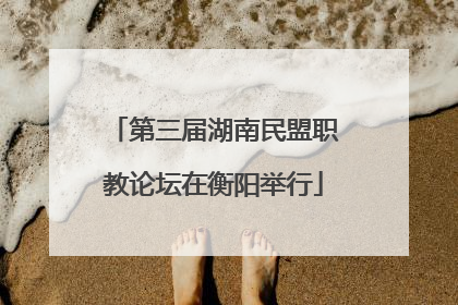 第三届湖南民盟职教论坛在衡阳举行
