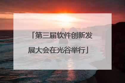 第三届软件创新发展大会在光谷举行