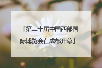 第二十届中国西部国际博览会在成都开幕