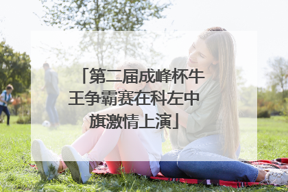 第二届成峰杯牛王争霸赛在科左中旗激情上演