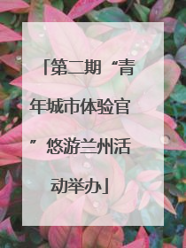 第二期“青年城市体验官”悠游兰州活动举办