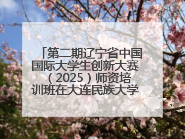 第二期辽宁省中国国际大学生创新大赛（2025）师资培训班在大连民族大学成功举办