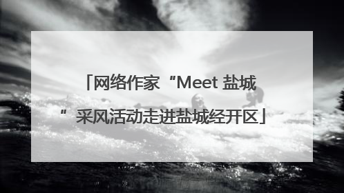 网络作家“Meet 盐城”采风活动走进盐城经开区