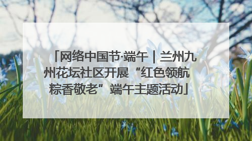 网络中国节·端午｜兰州九州花坛社区开展“红色领航 粽香敬老”端午主题活动