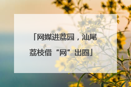 网媒进荔园，汕尾荔枝借“网”出圈
