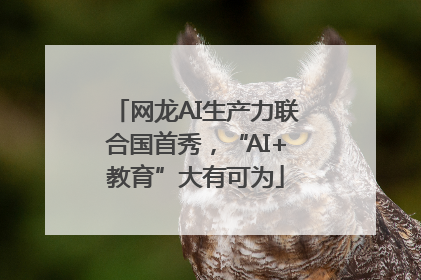 网龙AI生产力联合国首秀，“AI+教育”大有可为