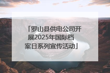 罗山县供电公司开展2025年国际档案日系列宣传活动