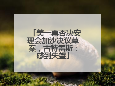 美一票否决安理会加沙决议草案，古特雷斯：感到失望