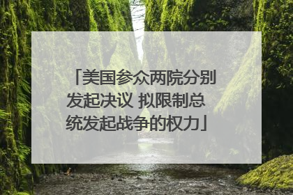 美国参众两院分别发起决议 拟限制总统发起战争的权力