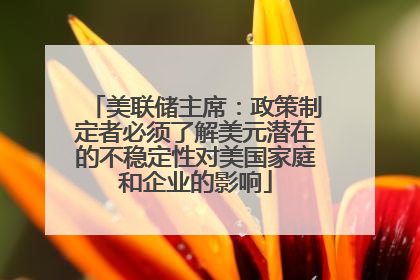 美联储主席：政策制定者必须了解美元潜在的不稳定性对美国家庭和企业的影响
