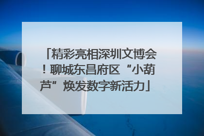 精彩亮相深圳文博会！聊城东昌府区“小葫芦”焕发数字新活力