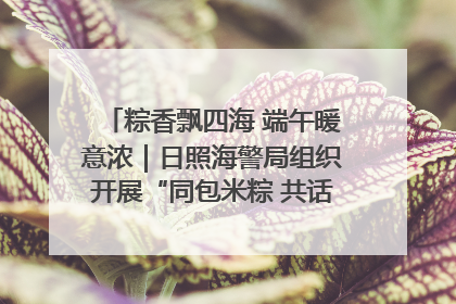 粽香飘四海 端午暖意浓｜日照海警局组织开展“同包米粽 共话端午”系列活动