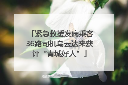 紧急救援发病乘客 36路司机乌云达来获评“青城好人”