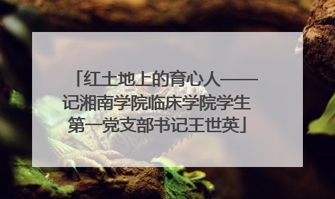 红土地上的育心人——记湘南学院临床学院学生第一党支部书记王世英