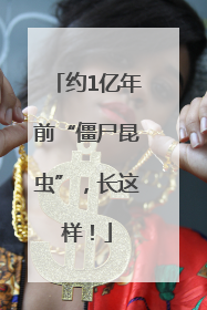 约1亿年前“僵尸昆虫”，长这样！