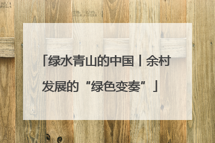 绿水青山的中国丨余村发展的“绿色变奏”