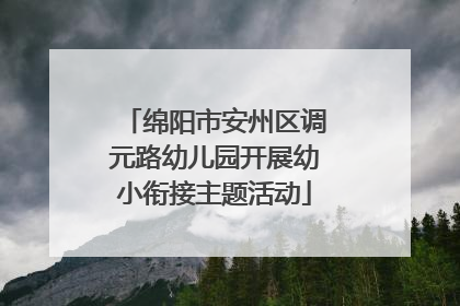 绵阳市安州区调元路幼儿园开展幼小衔接主题活动