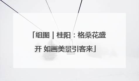组图｜桂阳：格桑花盛开 如画美景引客来