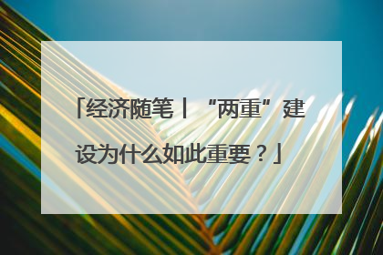 经济随笔丨“两重”建设为什么如此重要？