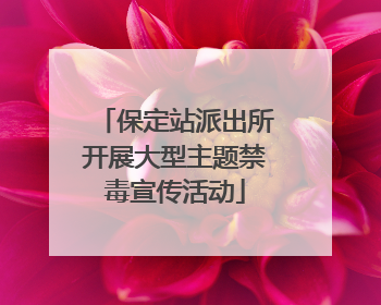 保定站派出所开展大型主题禁毒宣传活动