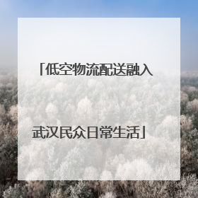 低空物流配送融入武汉民众日常生活