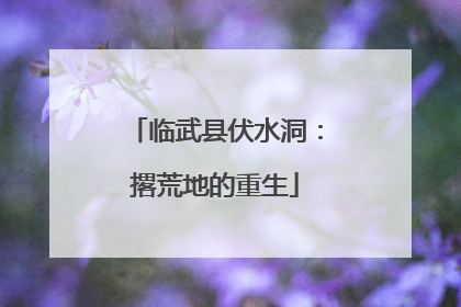 临武县伏水洞：撂荒地的重生