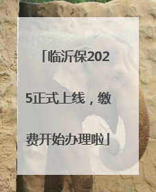 临沂保2025正式上线，缴费开始办理啦
