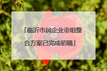 临沂市属企业重组整合方案已完成初稿