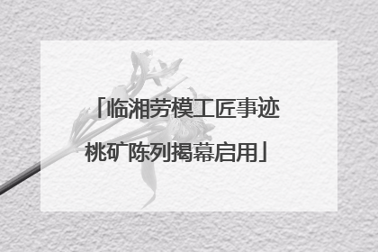 临湘劳模工匠事迹桃矿陈列揭幕启用