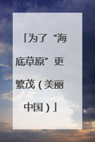 为了“海底草原”更繁茂（美丽中国）