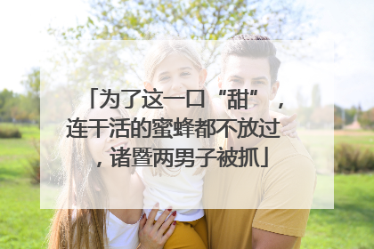 为了这一口“甜”，连干活的蜜蜂都不放过，诸暨两男子被抓