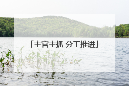 主官主抓 分工推进