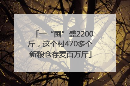 一“囤”盛2200斤，这个村470多个新粮仓存麦百万斤