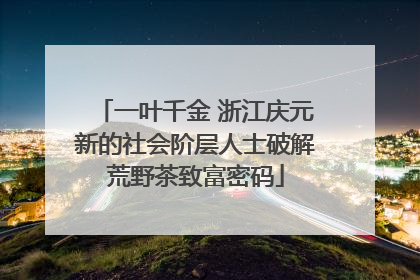 一叶千金 浙江庆元新的社会阶层人士破解荒野茶致富密码
