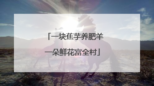 一块蕉芋养肥羊 一朵鲜花富全村