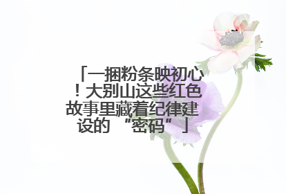 一捆粉条映初心！大别山这些红色故事里藏着纪律建设的 “密码”