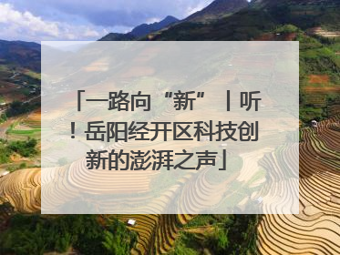 一路向“新”丨听！岳阳经开区科技创新的澎湃之声