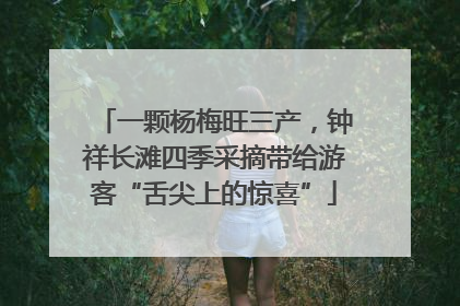 一颗杨梅旺三产，钟祥长滩四季采摘带给游客“舌尖上的惊喜”