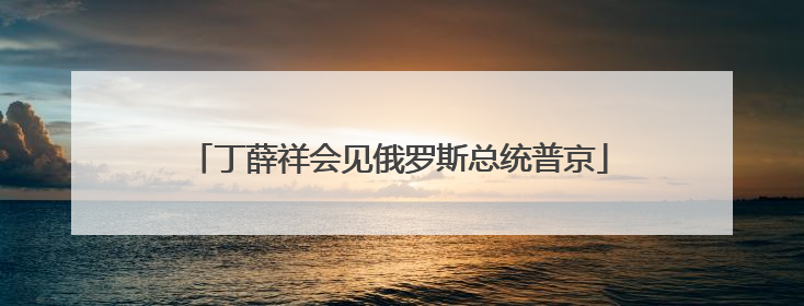 丁薛祥会见俄罗斯总统普京