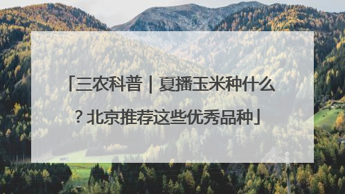 三农科普｜夏播玉米种什么？北京推荐这些优秀品种