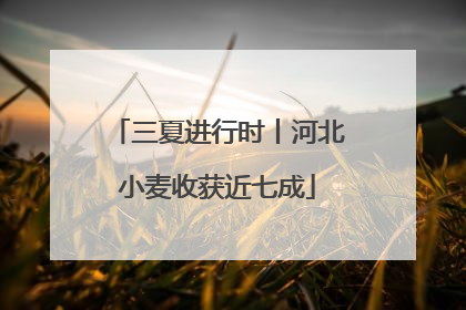 三夏进行时丨河北小麦收获近七成