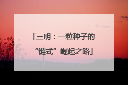 三明：一粒种子的“链式”崛起之路