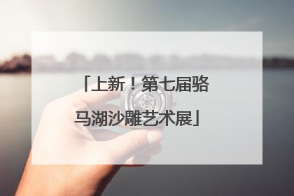 上新！第七届骆马湖沙雕艺术展