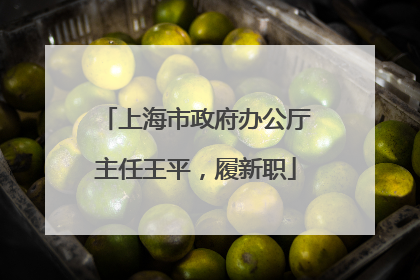 上海市政府办公厅主任王平，履新职