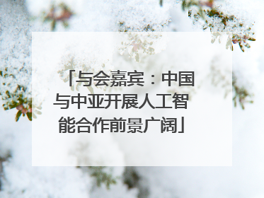 与会嘉宾：中国与中亚开展人工智能合作前景广阔