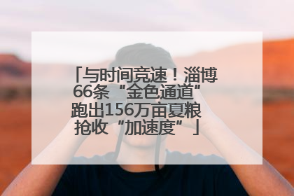 与时间竞速！淄博66条“金色通道”跑出156万亩夏粮抢收“加速度”